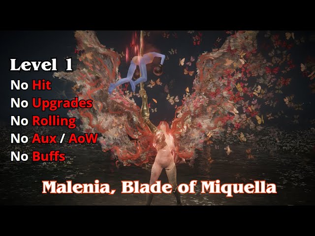 Malenia, Blade of Miquella RL1 +0 No Hit/Roll/Block/Parry/Aux/AoW/Buffs.