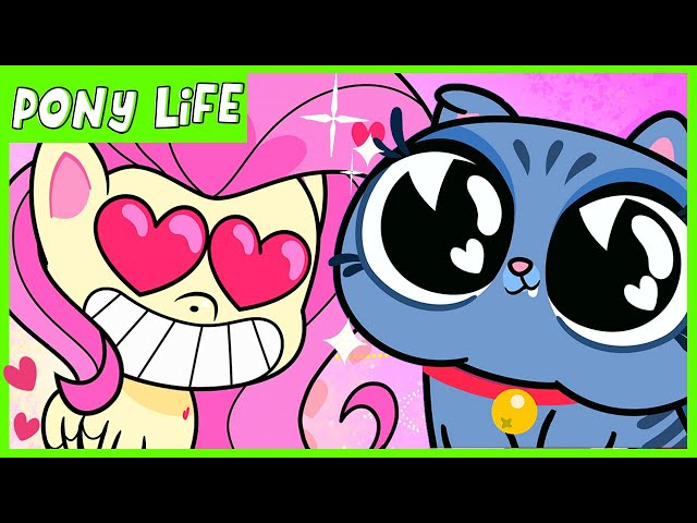 Pony Life | NEW | Fluttershy Kindness Moment - Kindness Day | MLP Pony Life