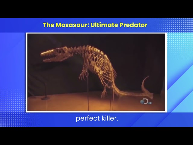 the mosasaur  ultimate predator