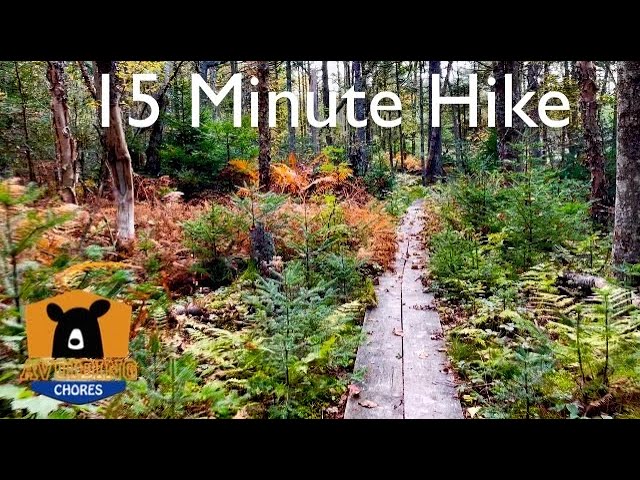 🥾15 Minute Hike - Thomas Cove Headland Trail Nova Scotia 🇨🇦
