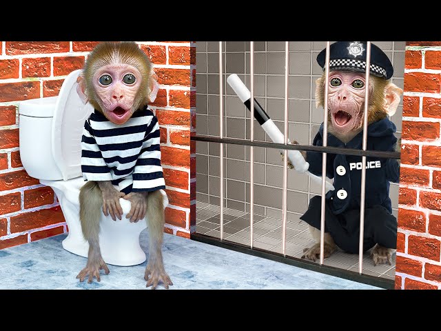 KiKi Monkey escapes Awesome Maze Challenge and eat colorful ice cream | KUDO ANIMAL KIKI