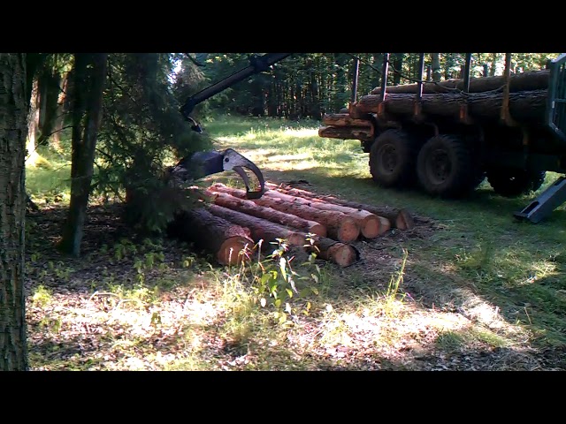 Log loader loading logs