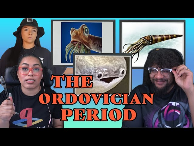 The Ordovician Period (That We Know Of) | Lindsay Nikole Reaction