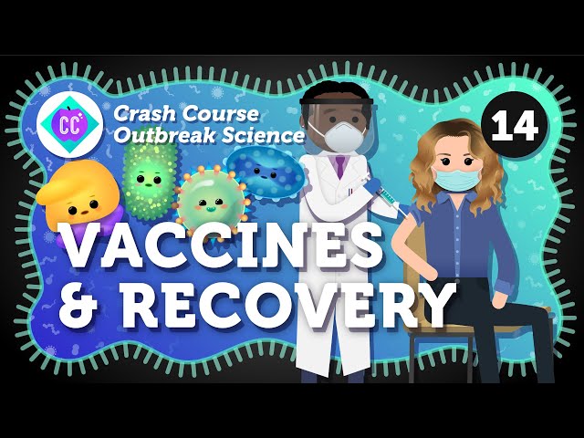 How do Outbreaks End? Vaccines and Recovery: Crash Course Outbreak Science #14
