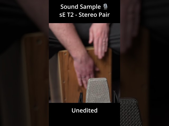 sE Electronics T2 - Sound Sample