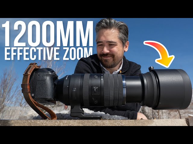 The LONGEST Ever Zoom for Micro Four Thirds! | M.Zuiko Digital ED 150-600mm f/5.0-6.3 IS Lens Review