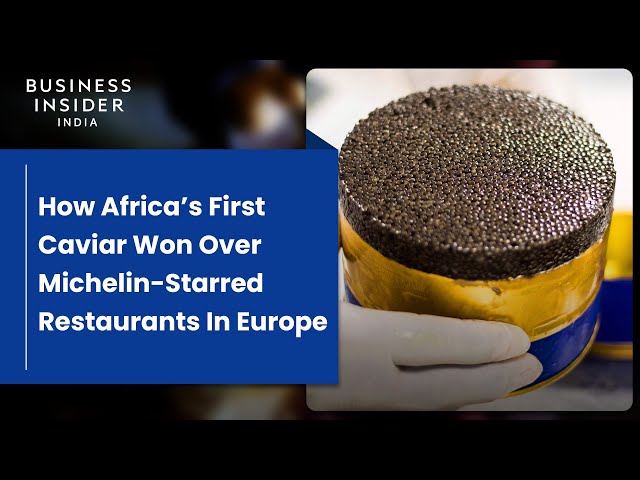 How Africa’s First Caviar Won Over Michelin-Starred Restaurants In Europe