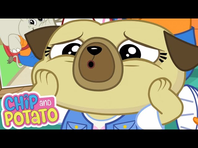 Chips Show y Tell Show y Tell | Chip and Potato | Dibujos animados para niños | WildBrain Niños