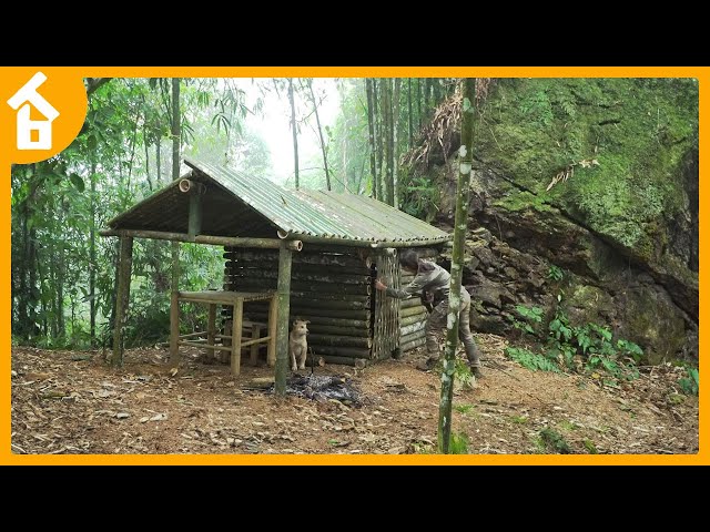 TIMELAPSE ~ Building Complete Survival Shelter in the Wilderness | Days Living Alone Off Grid
