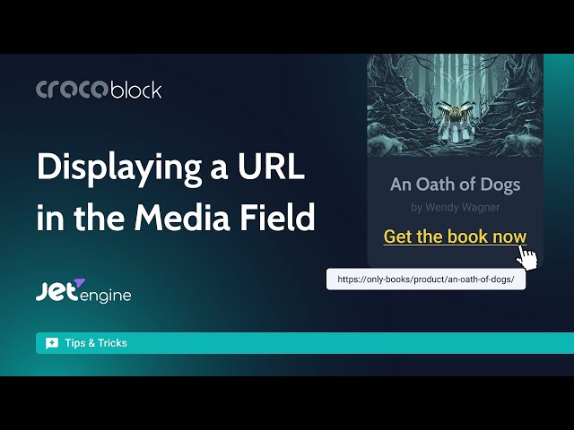 How to display link in the media field? | Tips & Tricks for WordPress