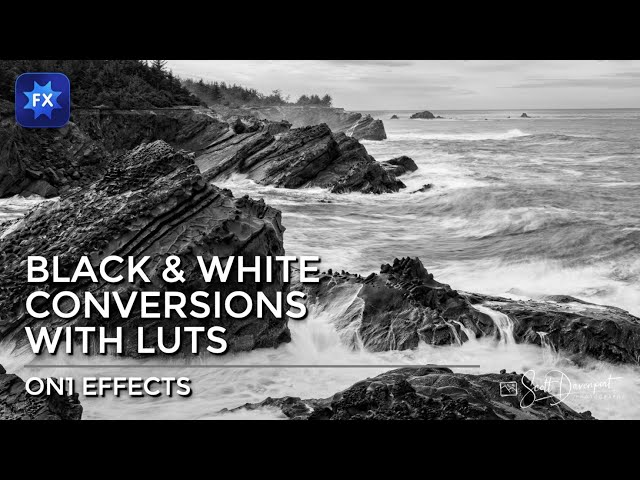 Use LUTs In ON1 Effects For Your Black & White Conversions