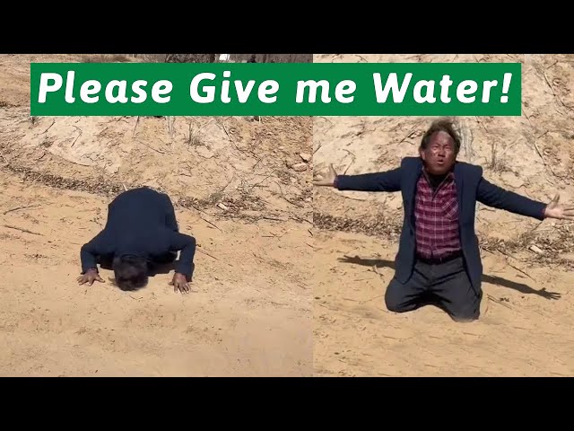 Kneeling to beg for water, this man who turned the desert into a forest is so pitiful!