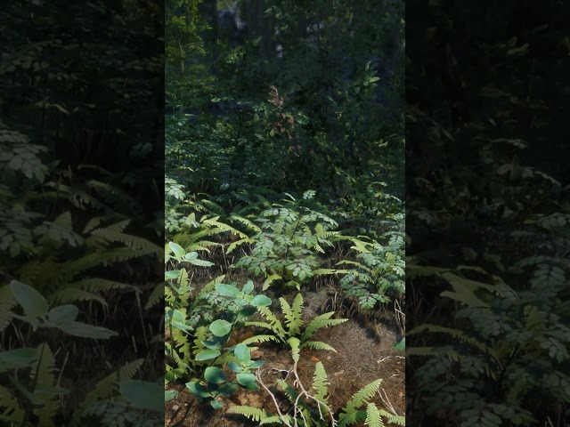 Skyrim 2023 Photorealistic Remake  - Beautiful 4k Atmospheric Forest3 ..  #skyrim2023  #photorealism