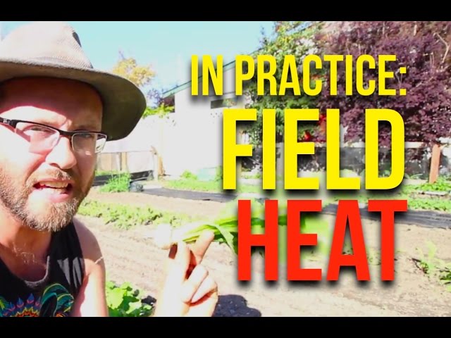 IN PRACTICE: Field Heat