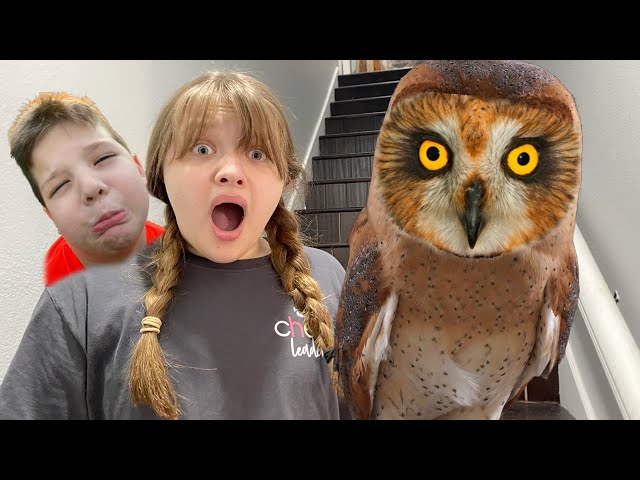 OWL WITCH in OUR HOUSE! The LEGEND of the OWL WITCH!
