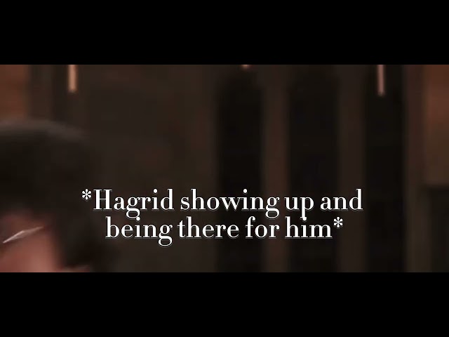 Harry and Hagrid edit #harrypotter #hagrid
