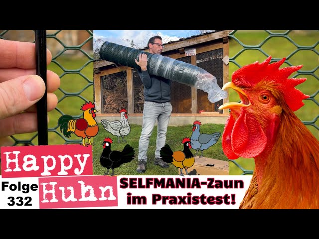Ein Hühnerzaun im Test: Alternative zum mobilen Hühnerzaun / Hühnernetz by Selfmania HAPPY HUHN E332