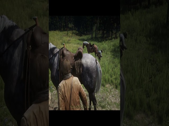 Just Red Dead Redemption 2 Things #shorts