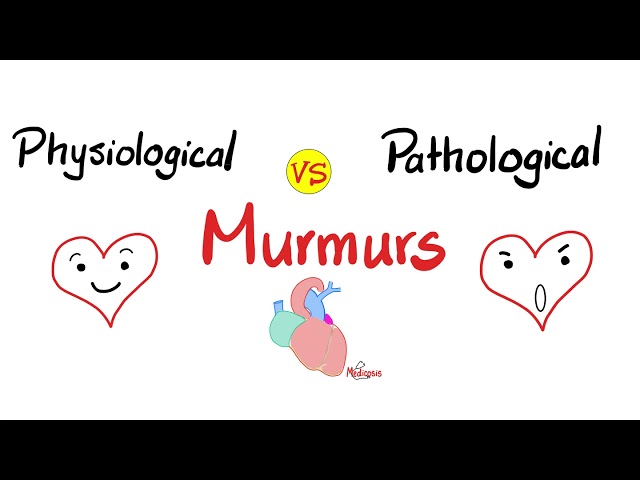Physiological Murmurs vs Pathological Murmurs | Comparisons