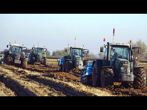 Lavori agricoli 2019