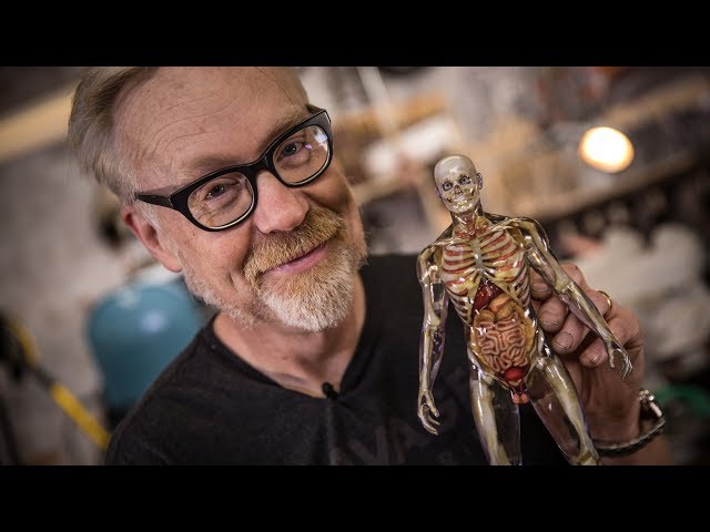 Inside Adam Savage's Cave: Human Anatomy Model!