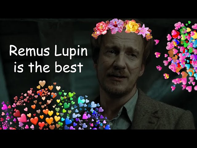 Remus Lupin is the best