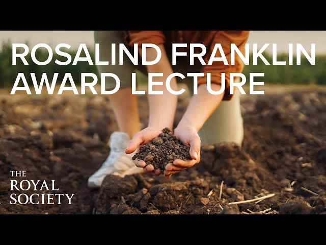 Why soil is vital to life | The Royal Society