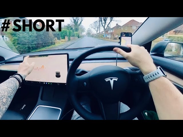 The Unexpected Benefits of Tesla Phone Mounts: #shorts