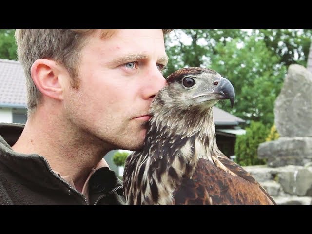 Raising and living with Eagles
