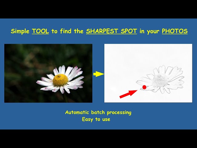 Find the sharpest spot in your photos (and overall photo sharpness) – a simple batch method