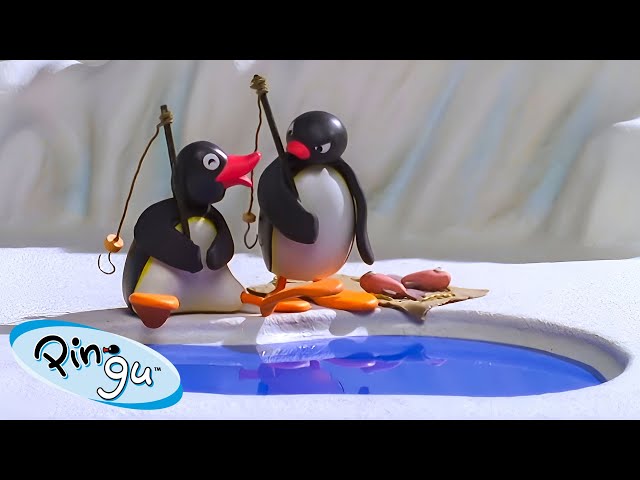 Pingu's Big Catch 🐧 | Pingu - Official Channel | Cartoons For Kids