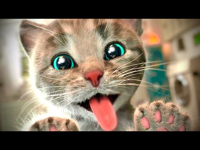Learn with Little Kitten Adventure and School Funny Kittens Animated Cartoons for Kids Learn an Play