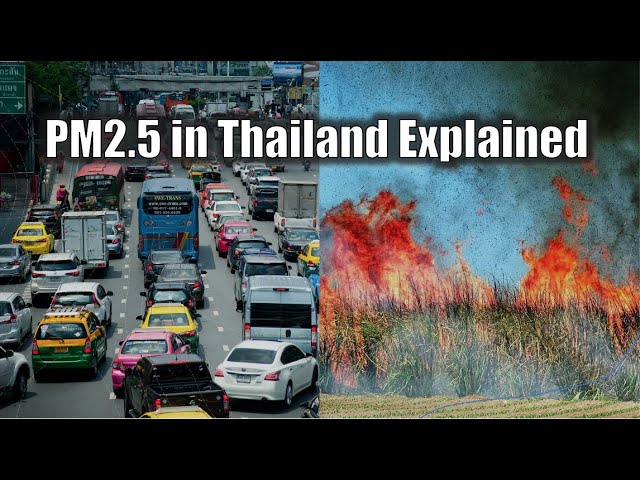 PM2.5 in Thailand Explained | The role of pre-harvest sugarcane burning in air pollution