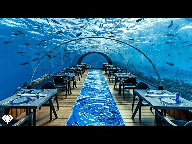 Top 10 Most Expensive Restaurants In The World