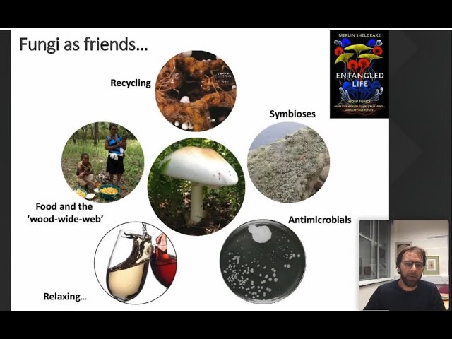 Fungal Catastrophes with Professor Mat Fisher