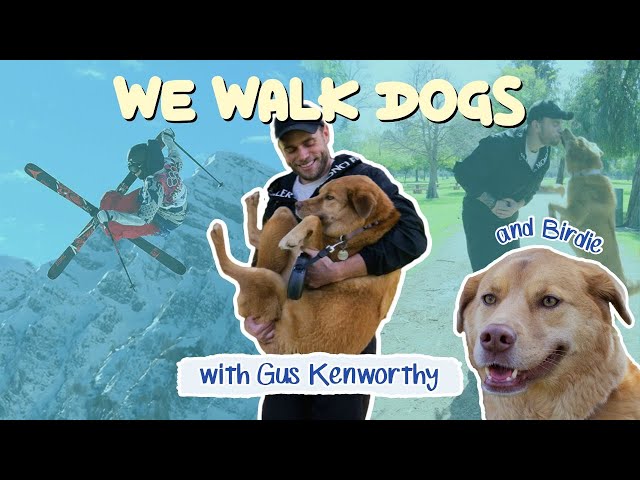 Gus Kenworthy and His Rescue Dog Birdie | WeWalkDogs