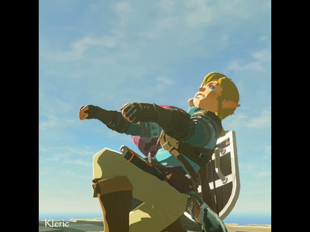 We rely on Link... oh god.