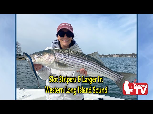 April 20, 2023  New England Video Fishing Forecast with Dave Anderson