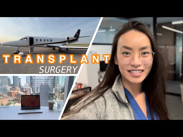 Transplant Surgery | RESIDENCY
