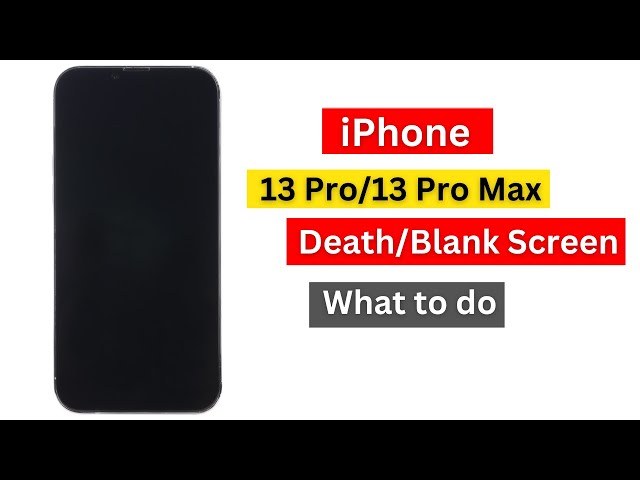 iPhone 13 Pro/13 Pro Max blank screen of Death fixed.