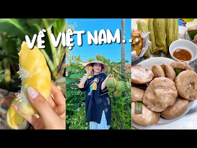 Đưa bạn trai Hàn về Việt Nam lần 3: Thưởng thức đủ loại đặc sản đỉnh của chóp ở Hải Phòng 🇻🇳🇰🇷