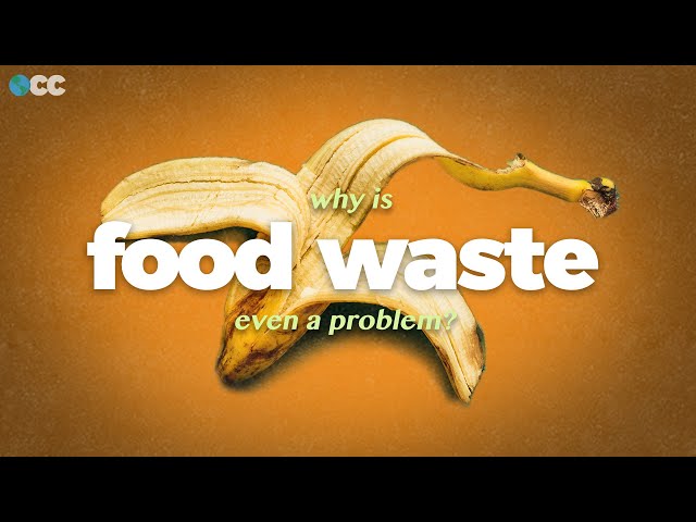 Food Waste causes Climate Change. Here's how we stop it.