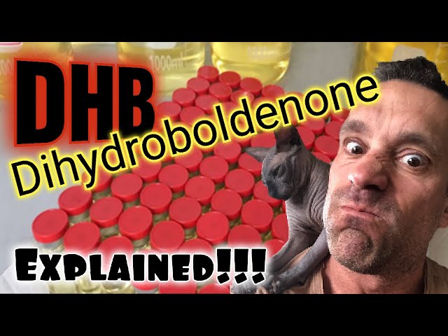 DHB Dihydroboldenone Explained!!!