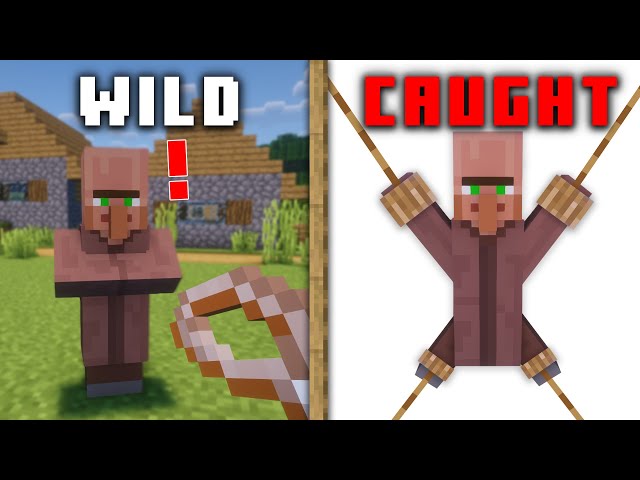 Things Minecraft WON'T Let You Do To Villagers