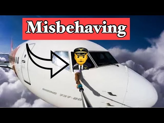 Pilots misbehaving on Social media