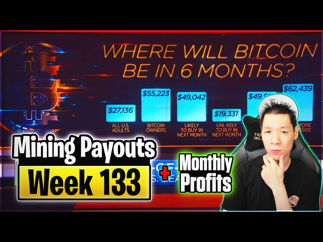 Weekly Mining Payouts 2/3/22 | Week 133