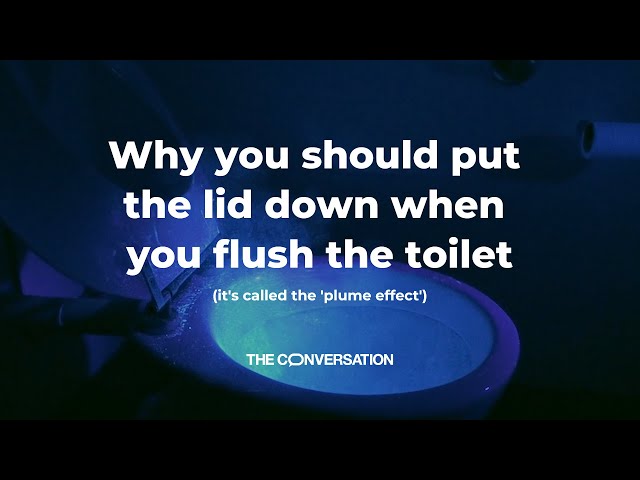 Why you should put the lid down when you flush the toilet (It's called the 'plume effect')