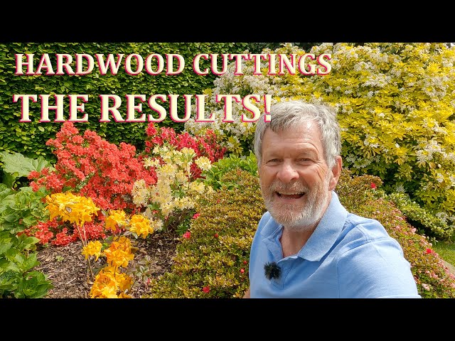The Results! - Hardwood Cuttings & Plant Food