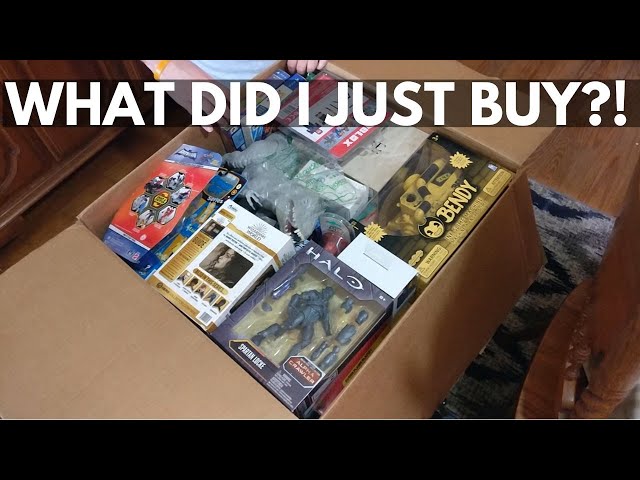 Spent $535 on a Mystery Box of Toys and Video Games to Sell on eBay and Amazon FBA | Wholesale Buy!