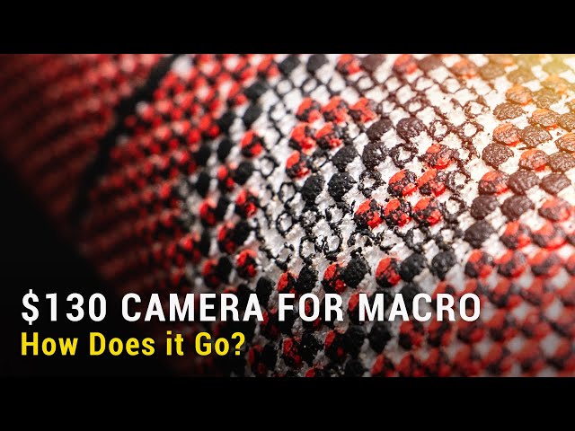 Canon EOS M, Sony A7III or Fujifilm X100T for Macro Photography Without Macro Lens?